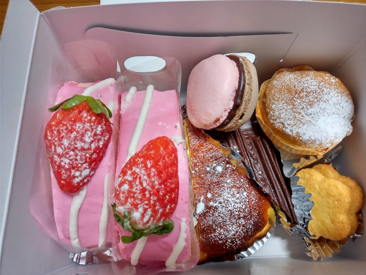 f:id:tiboko:20210115054814j:plain