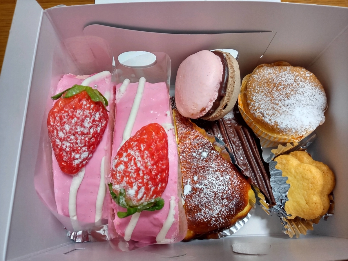 f:id:tiboko:20210115055017j:plain