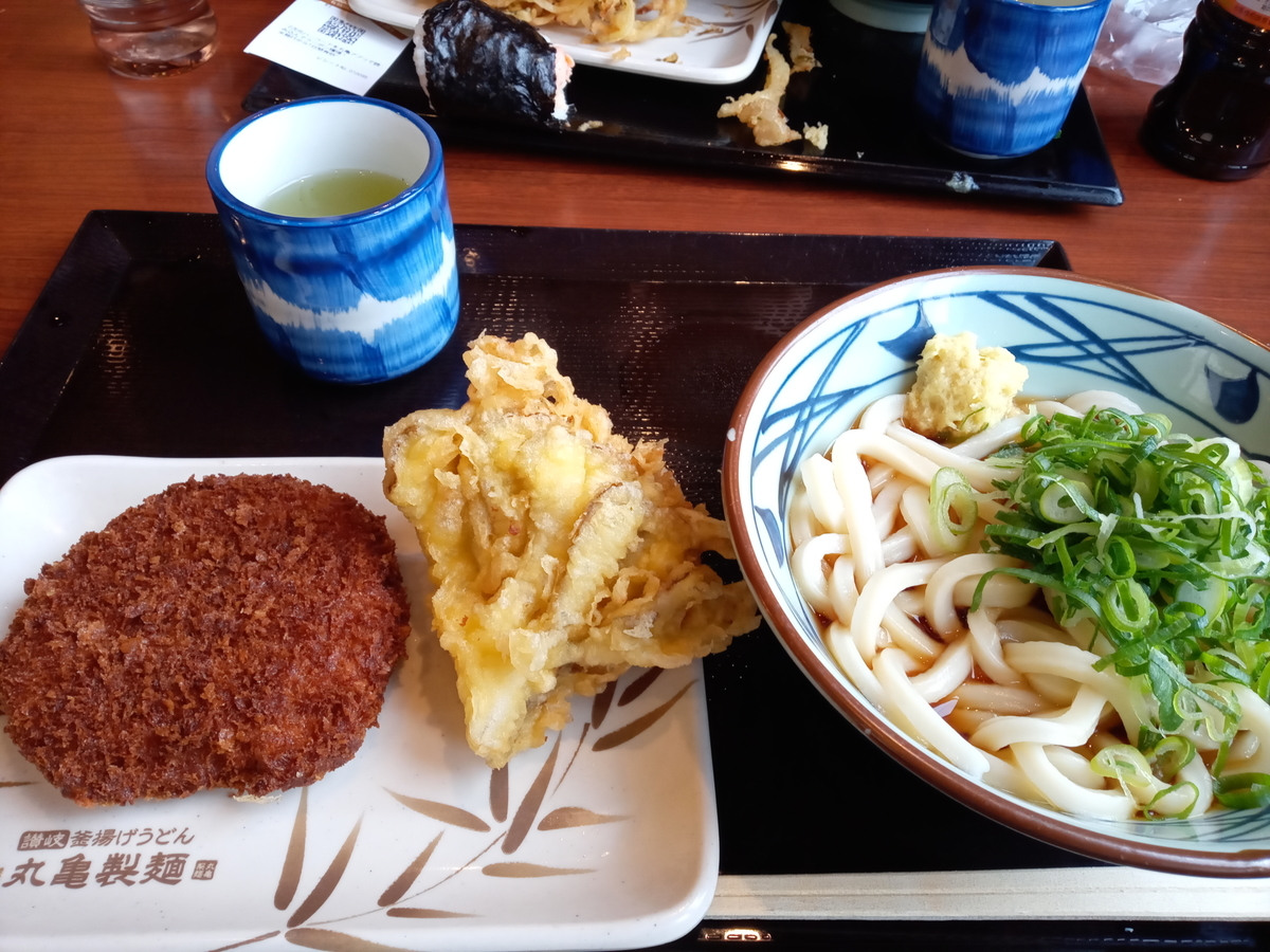 f:id:tiboko:20210213053700j:plain