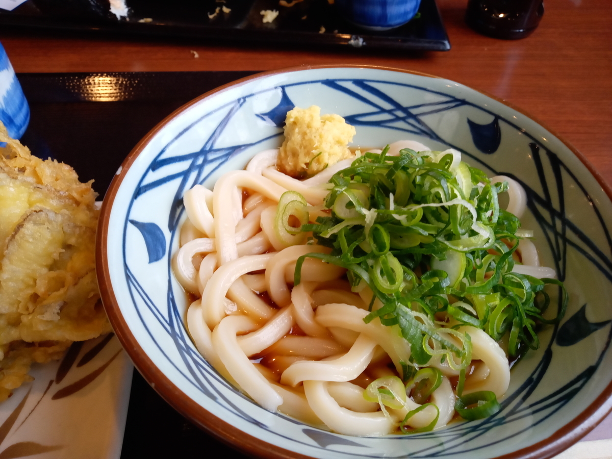 f:id:tiboko:20210213053756j:plain