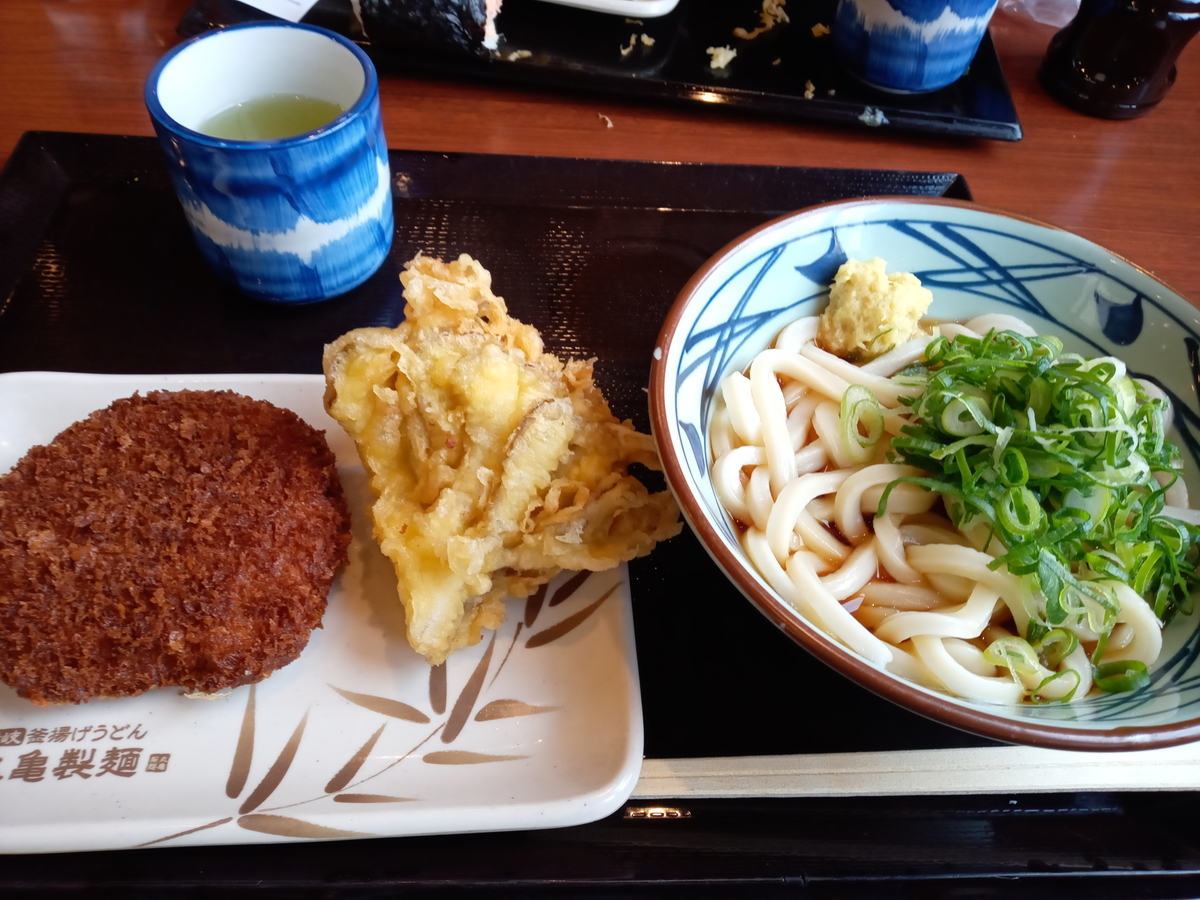 f:id:tiboko:20210213053821j:plain