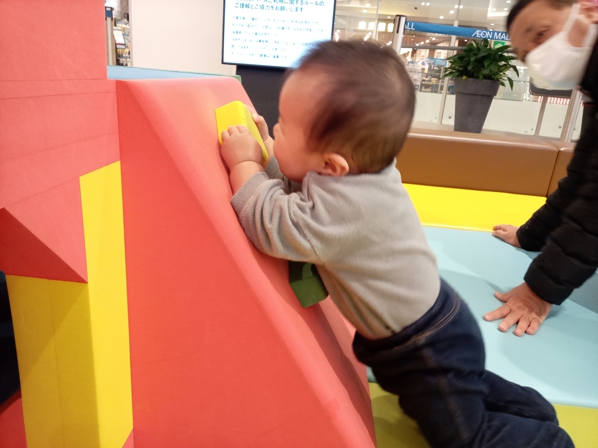 f:id:tiboko:20210310071255j:plain