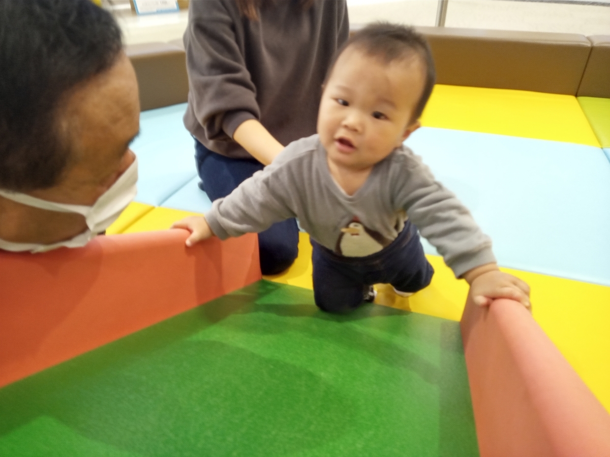 f:id:tiboko:20210310071352j:plain