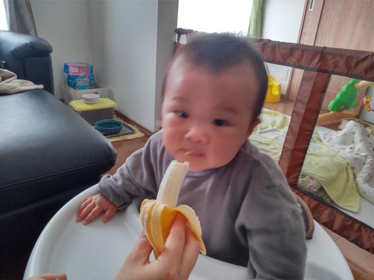 f:id:tiboko:20210328075844j:plain