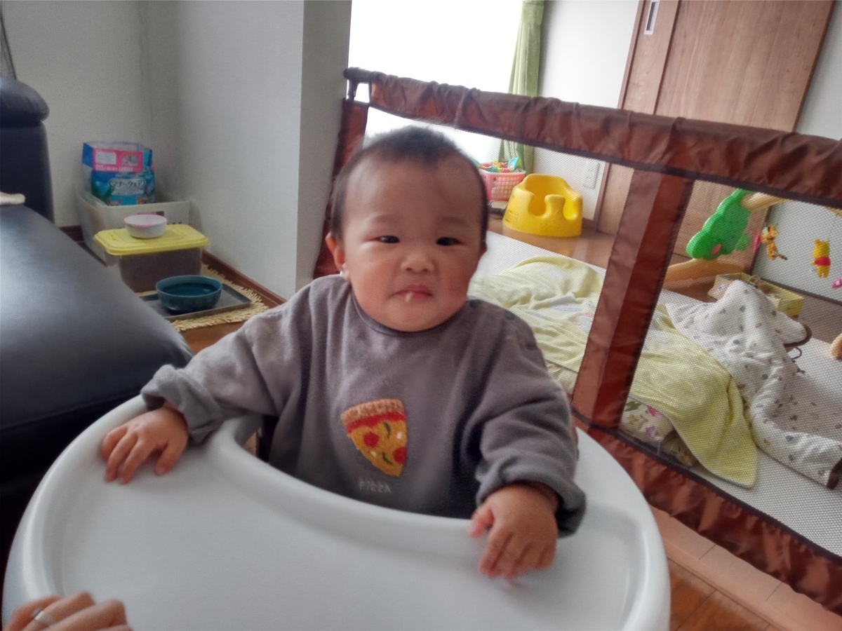 f:id:tiboko:20210328075906j:plain