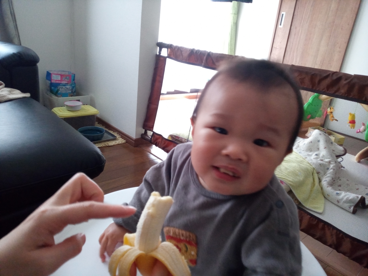 f:id:tiboko:20210328075930j:plain