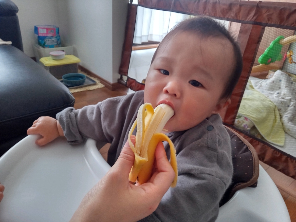 f:id:tiboko:20210328080047j:plain