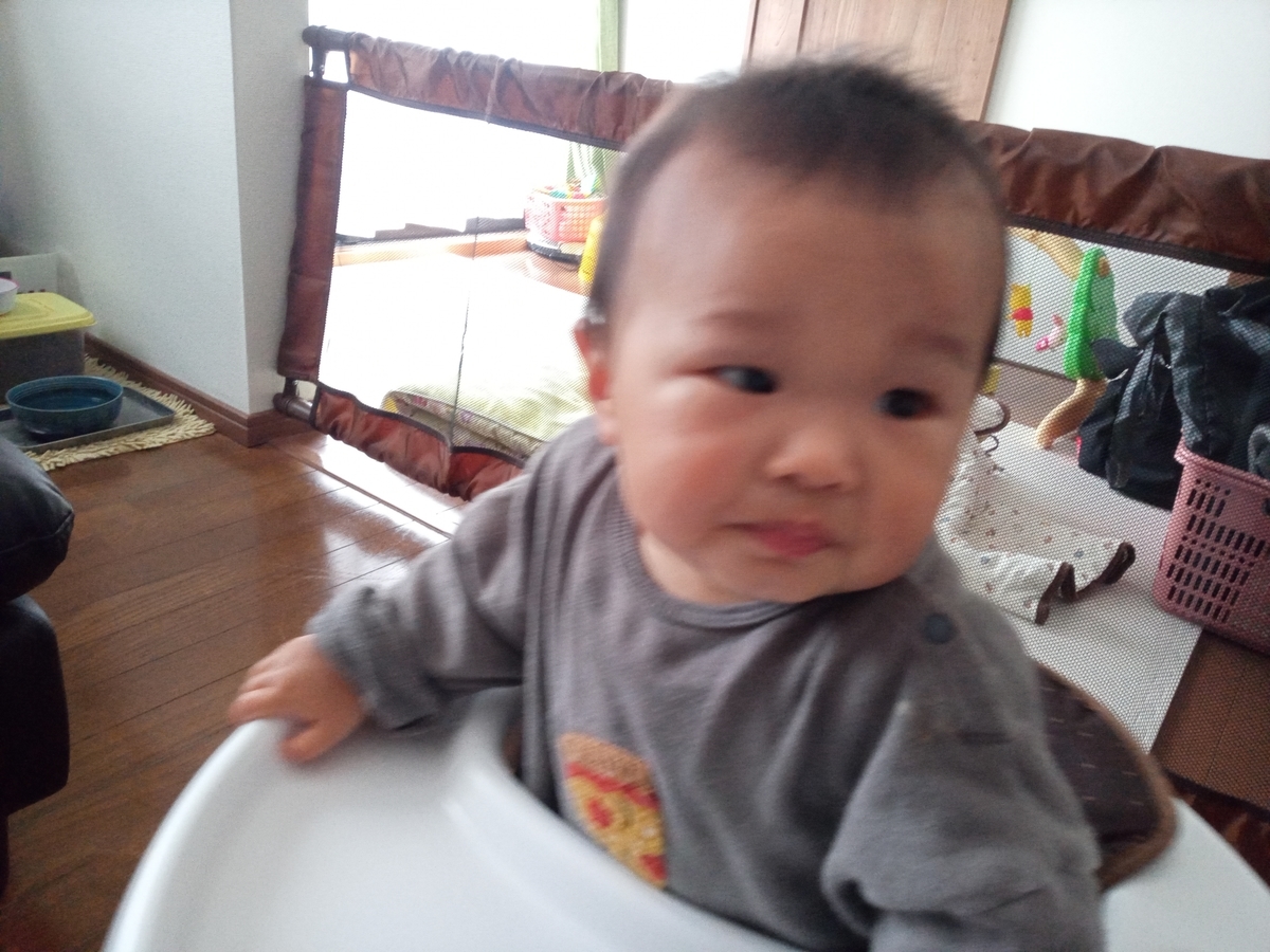 f:id:tiboko:20210328080127j:plain