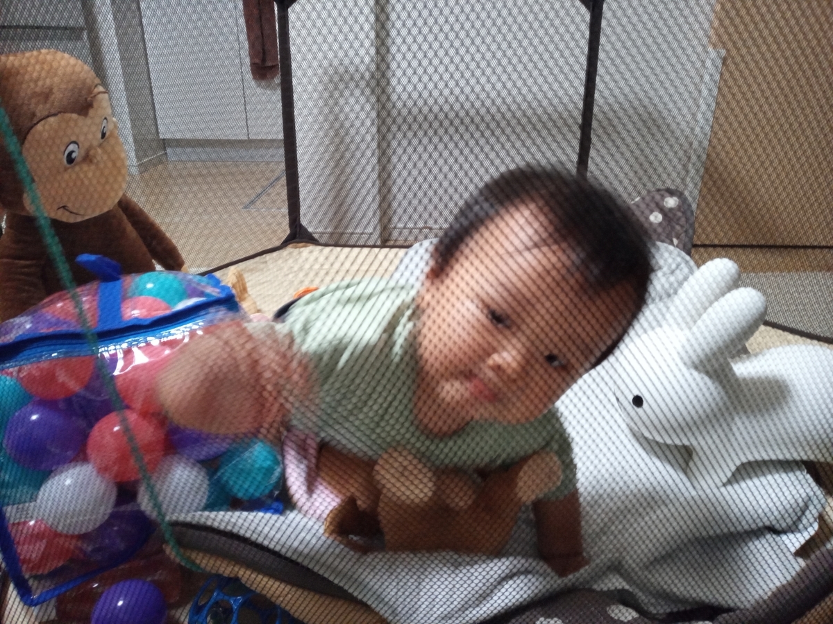 f:id:tiboko:20210610070022j:plain