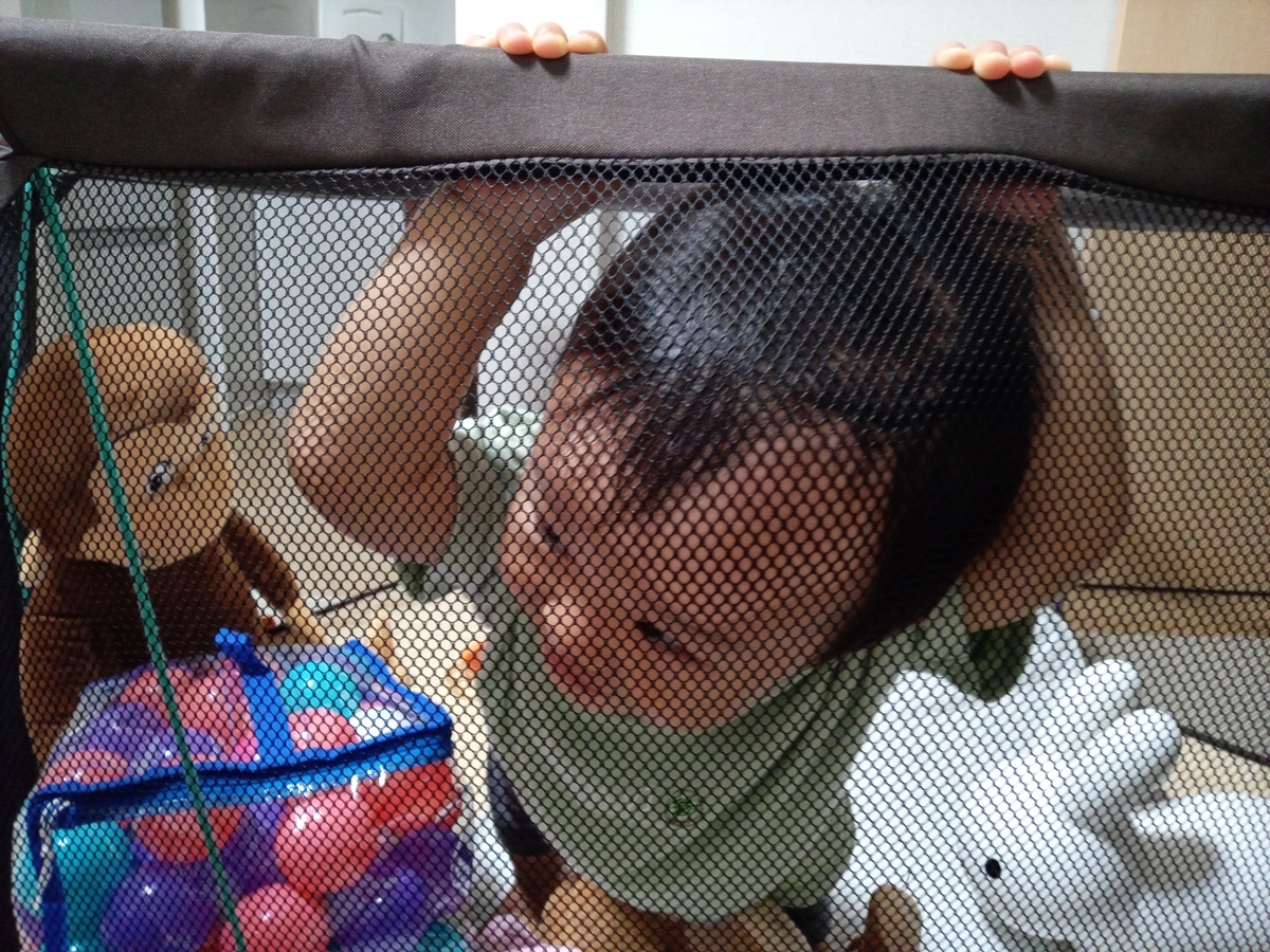 f:id:tiboko:20210610070051j:plain