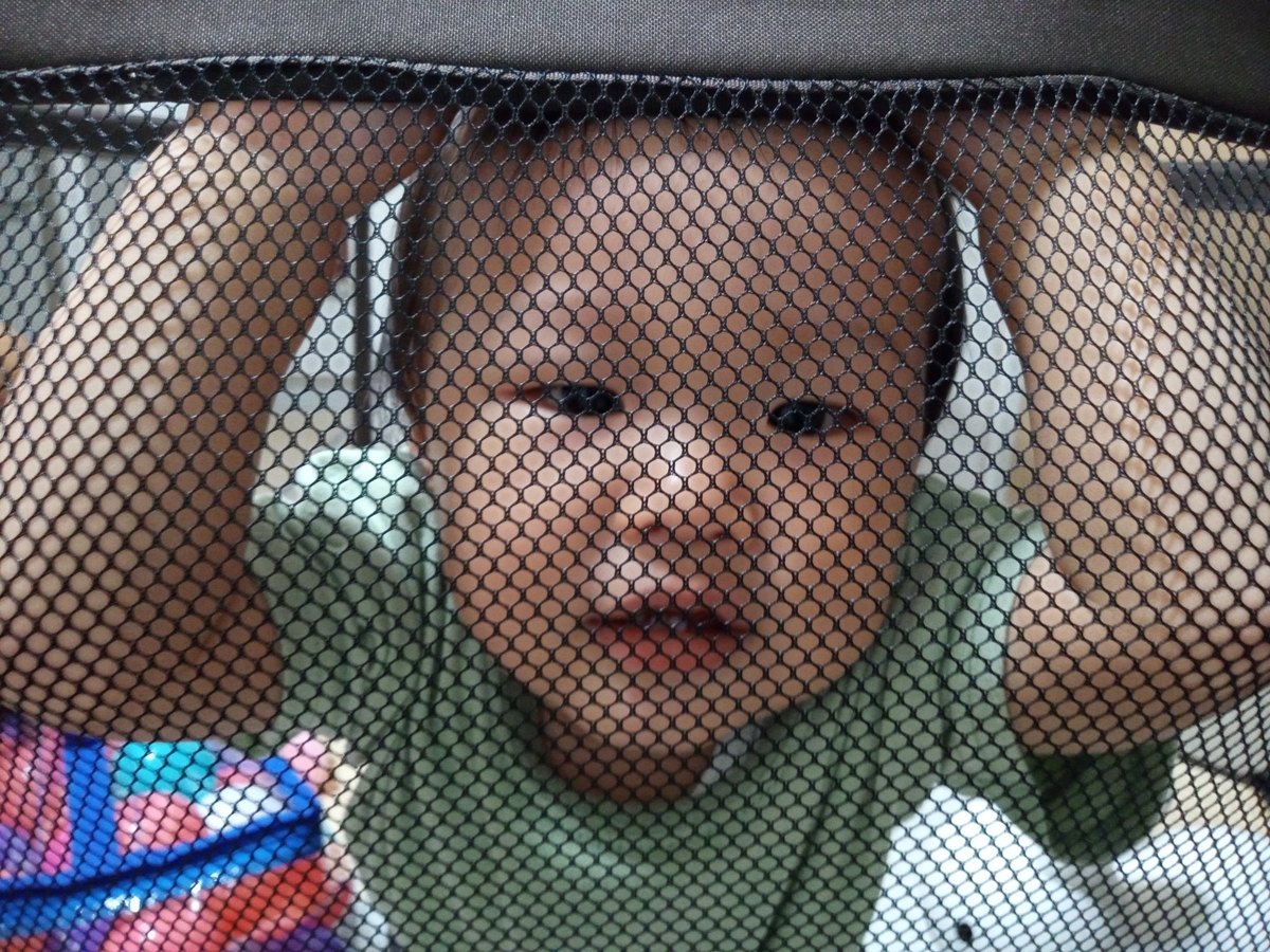 f:id:tiboko:20210610070129j:plain