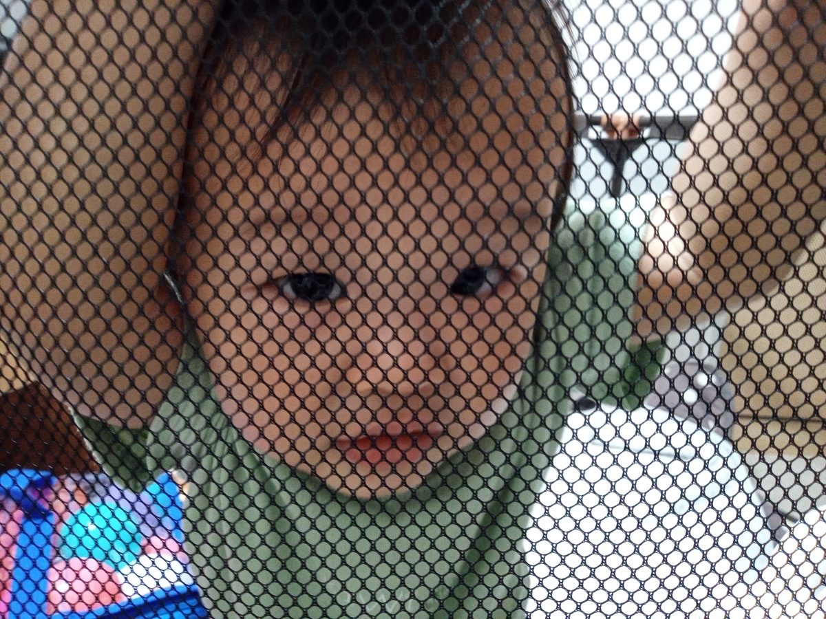 f:id:tiboko:20210610070424j:plain