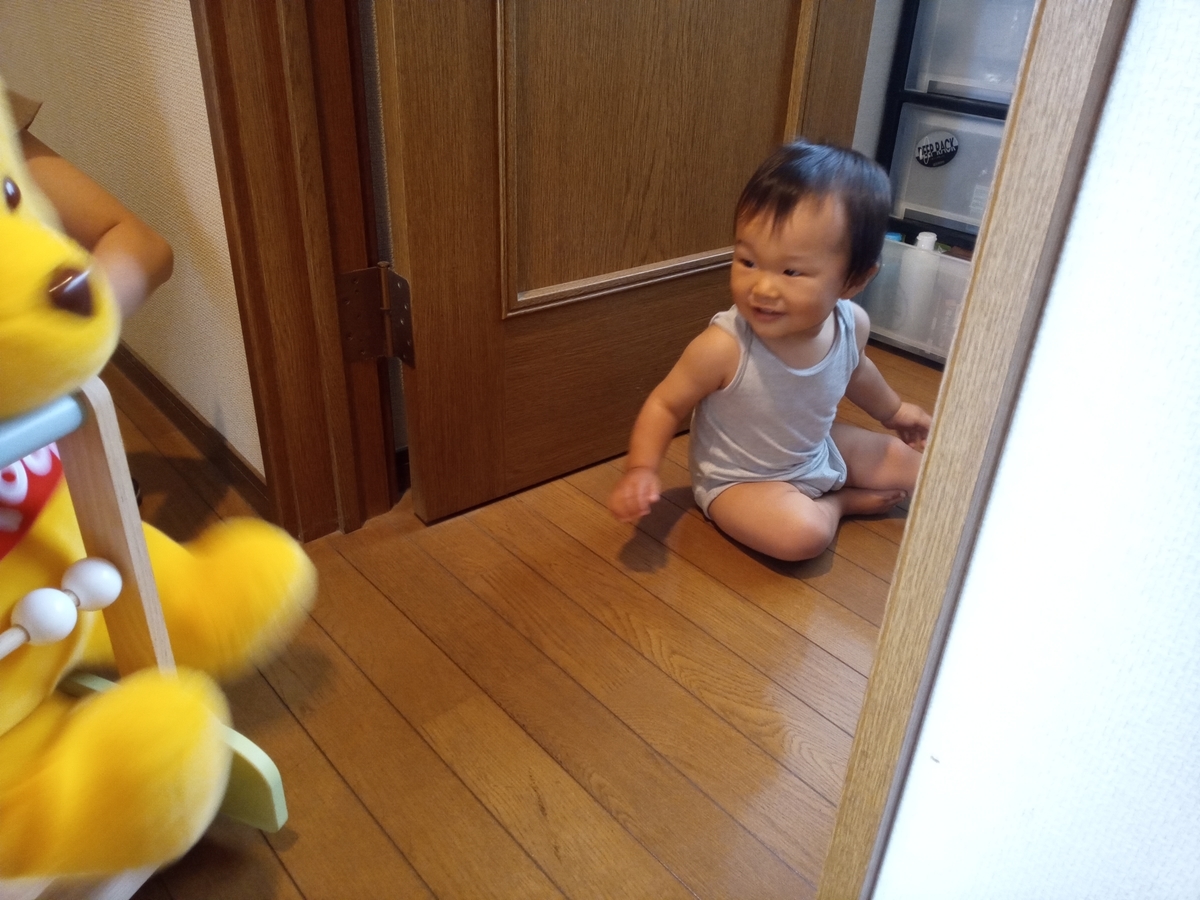 f:id:tiboko:20210707075308j:plain