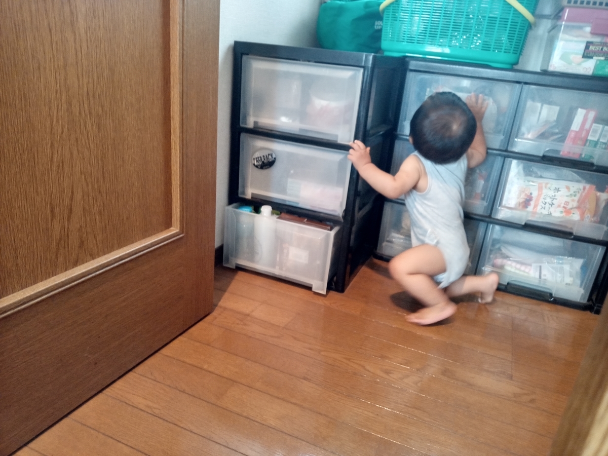 f:id:tiboko:20210707075423j:plain