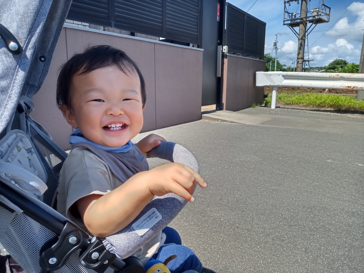 f:id:tiboko:20210725071754j:plain