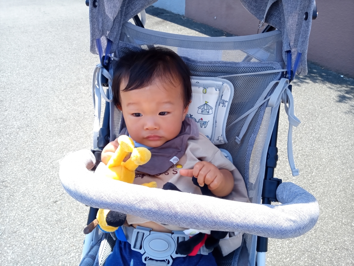 f:id:tiboko:20210725071859j:plain