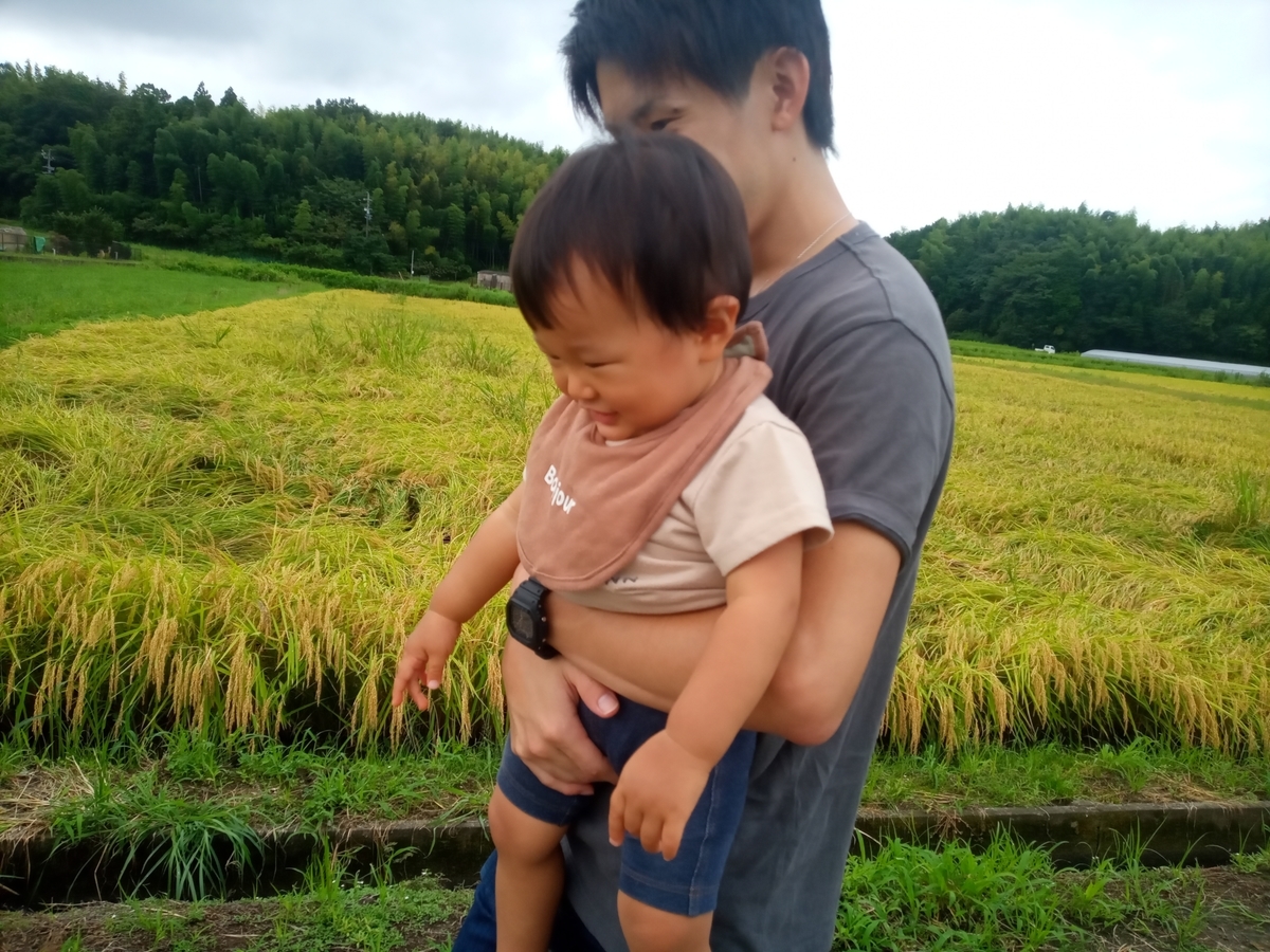 f:id:tiboko:20210823065453j:plain