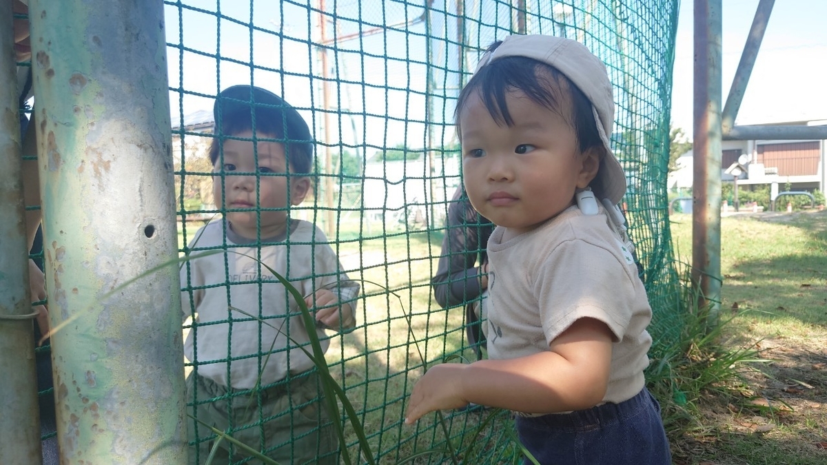 f:id:tiboko:20210924064702j:plain