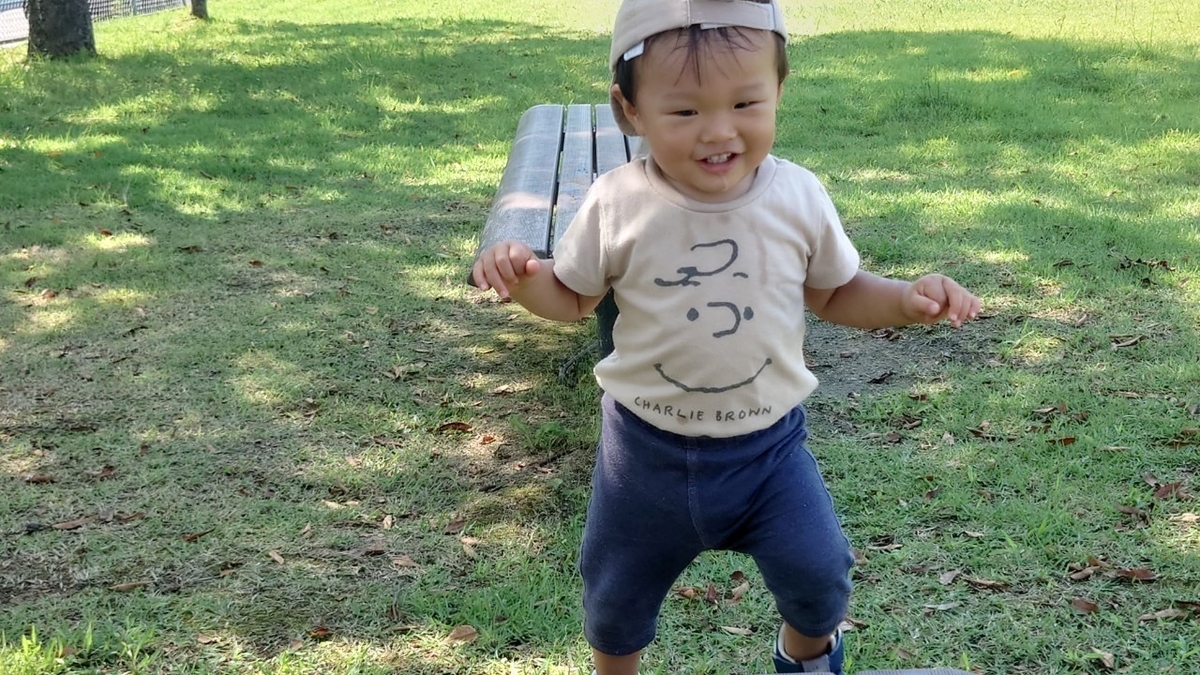 f:id:tiboko:20210924064758j:plain