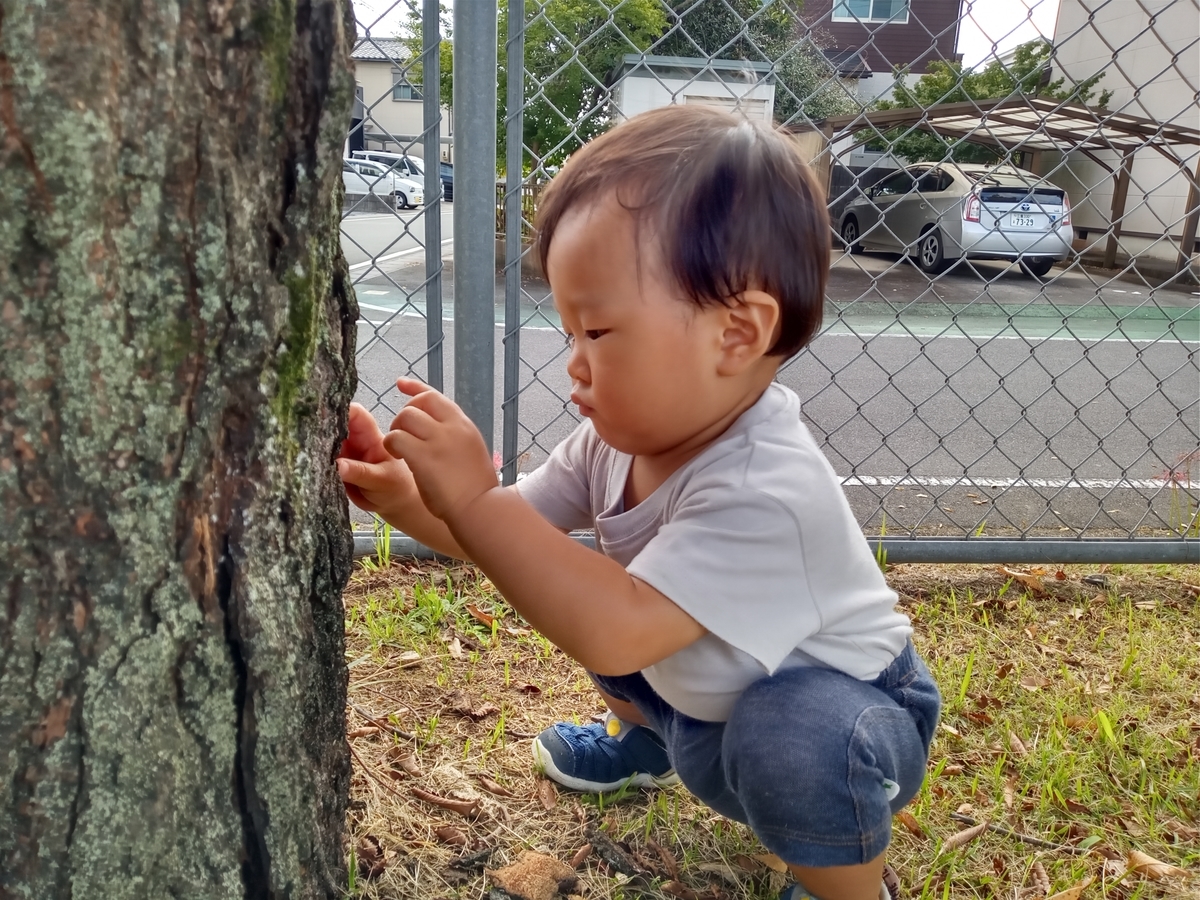 f:id:tiboko:20210926171043j:plain