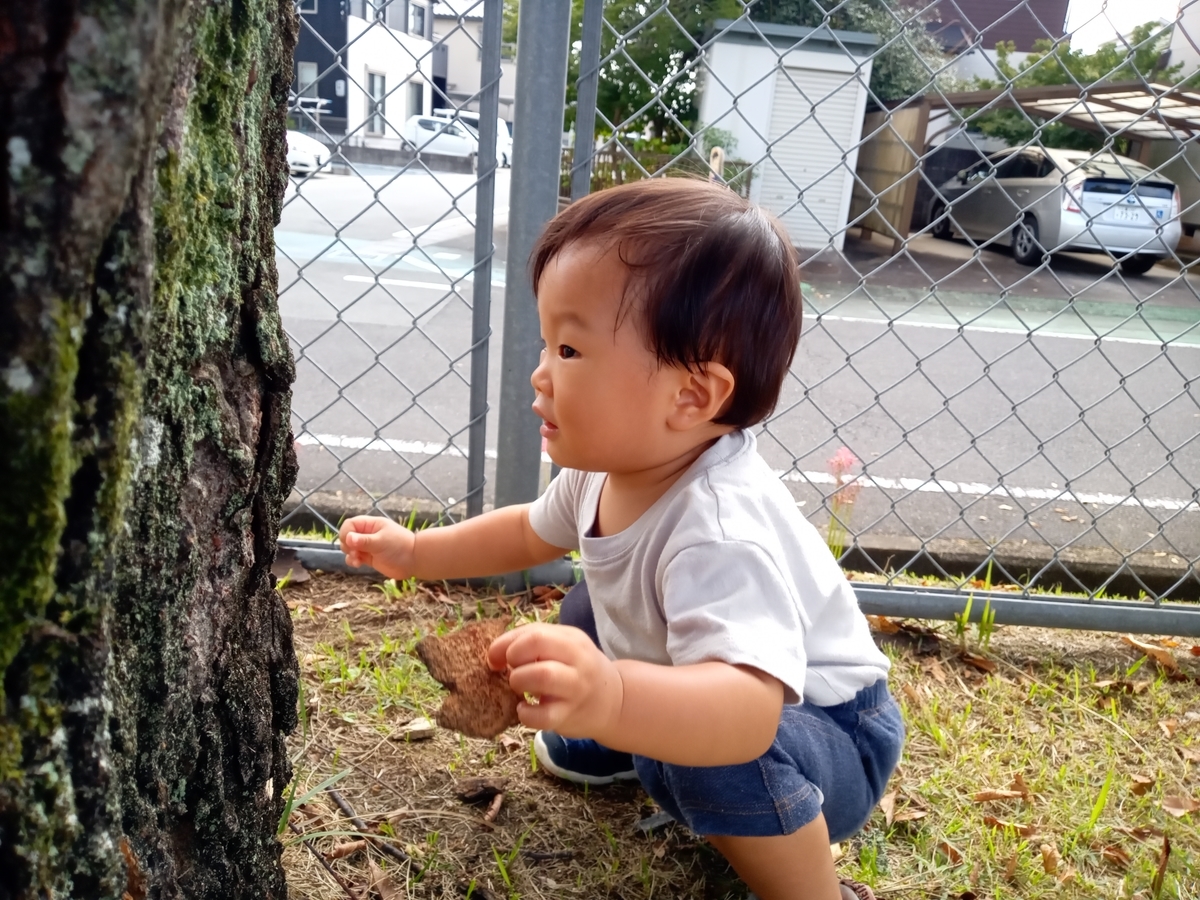 f:id:tiboko:20210926171106j:plain