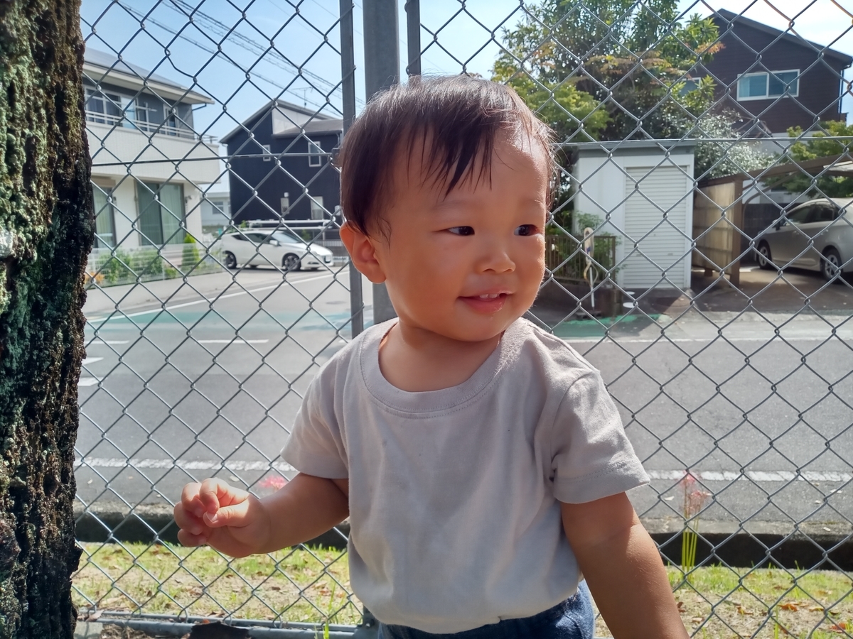 f:id:tiboko:20210926171202j:plain