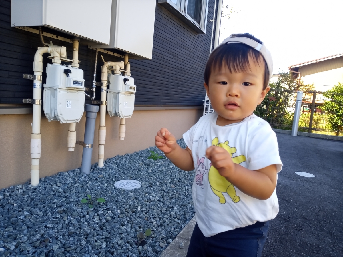 f:id:tiboko:20210928054151j:plain