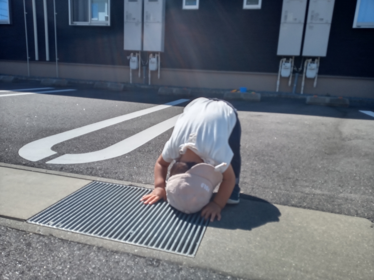 f:id:tiboko:20210928054351j:plain