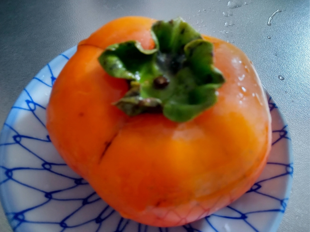 蓮台寺柿 ハピママリンのつぶやき