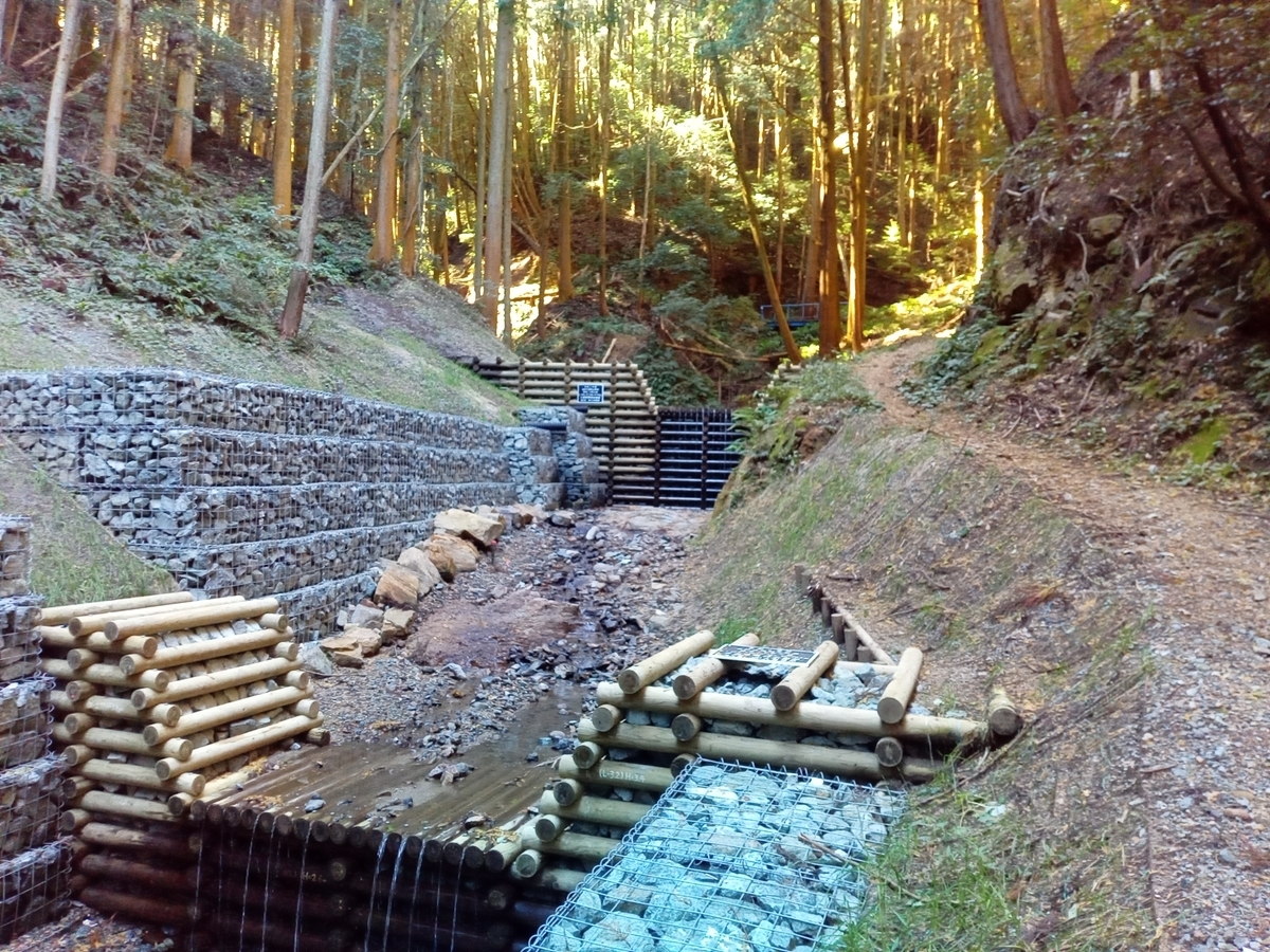 f:id:tiboko:20211114071802j:plain