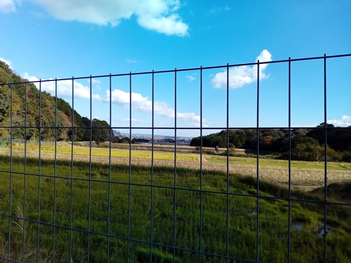 f:id:tiboko:20211114071923j:plain