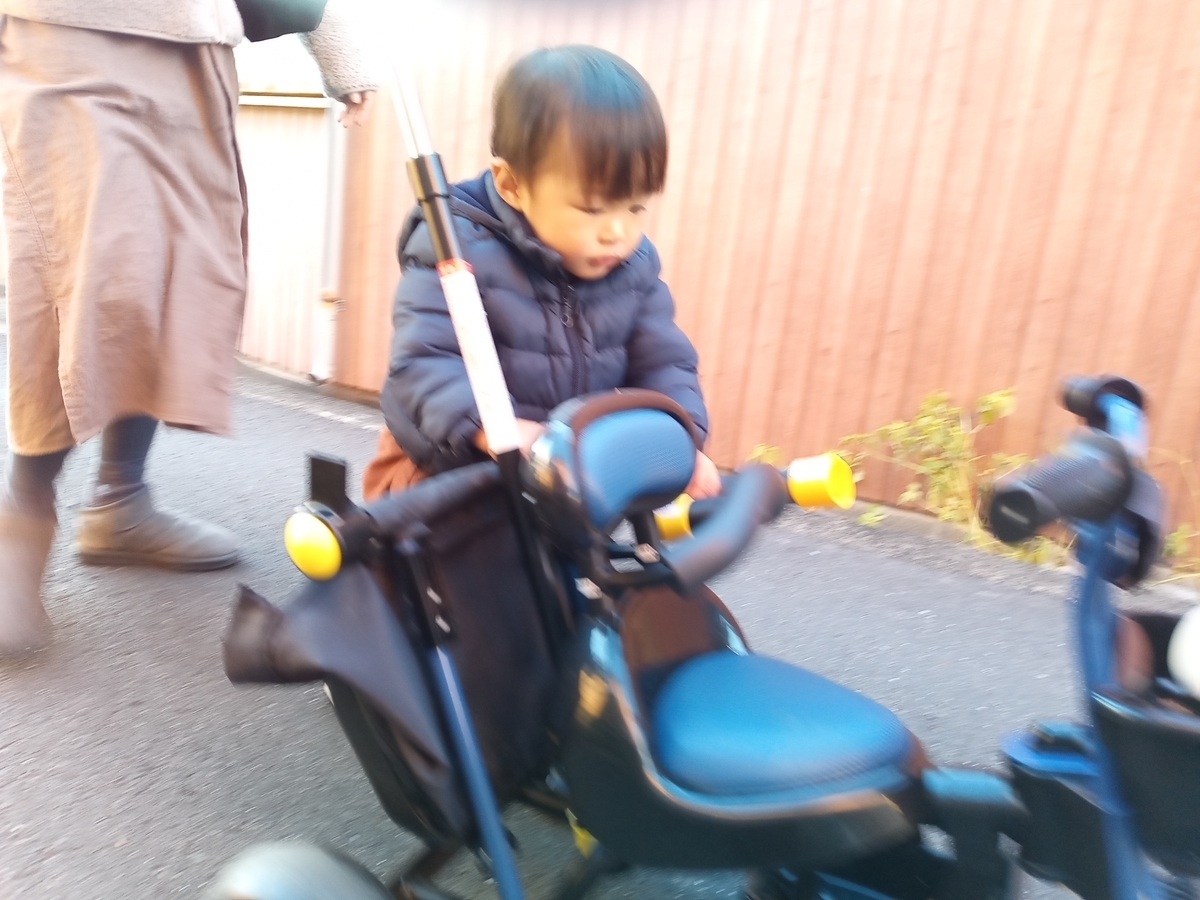 f:id:tiboko:20220103080751j:plain