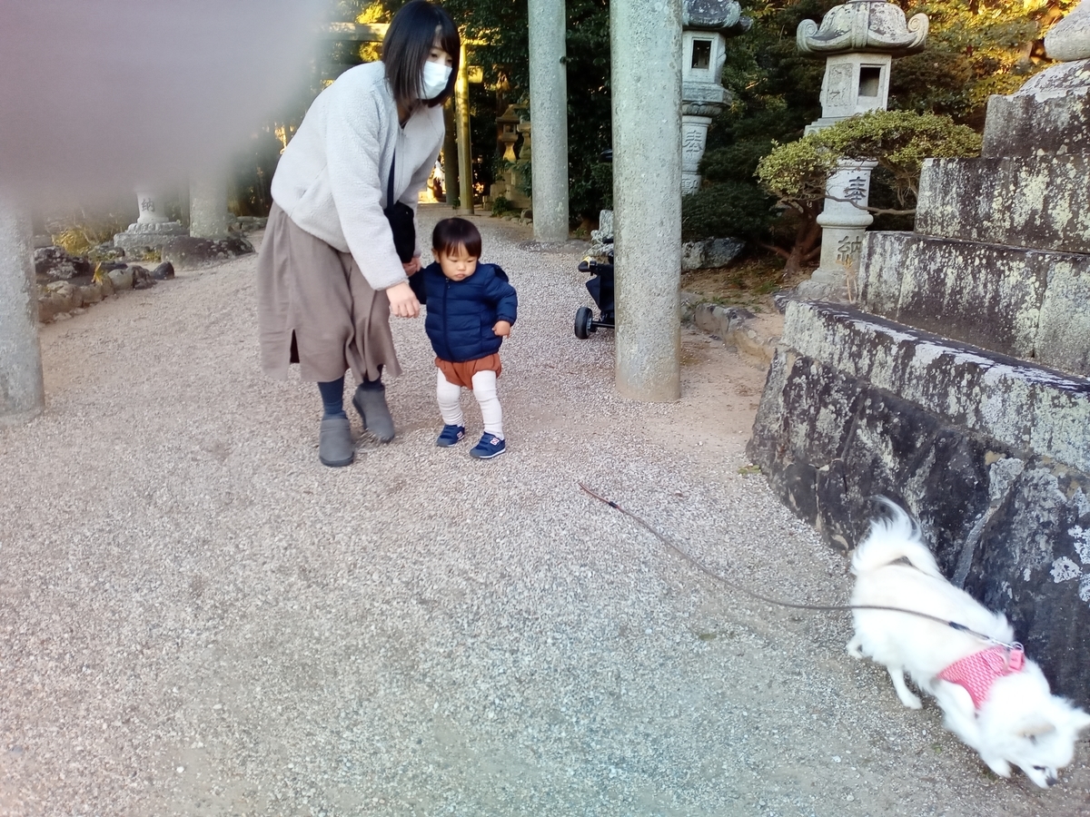 f:id:tiboko:20220103080922j:plain