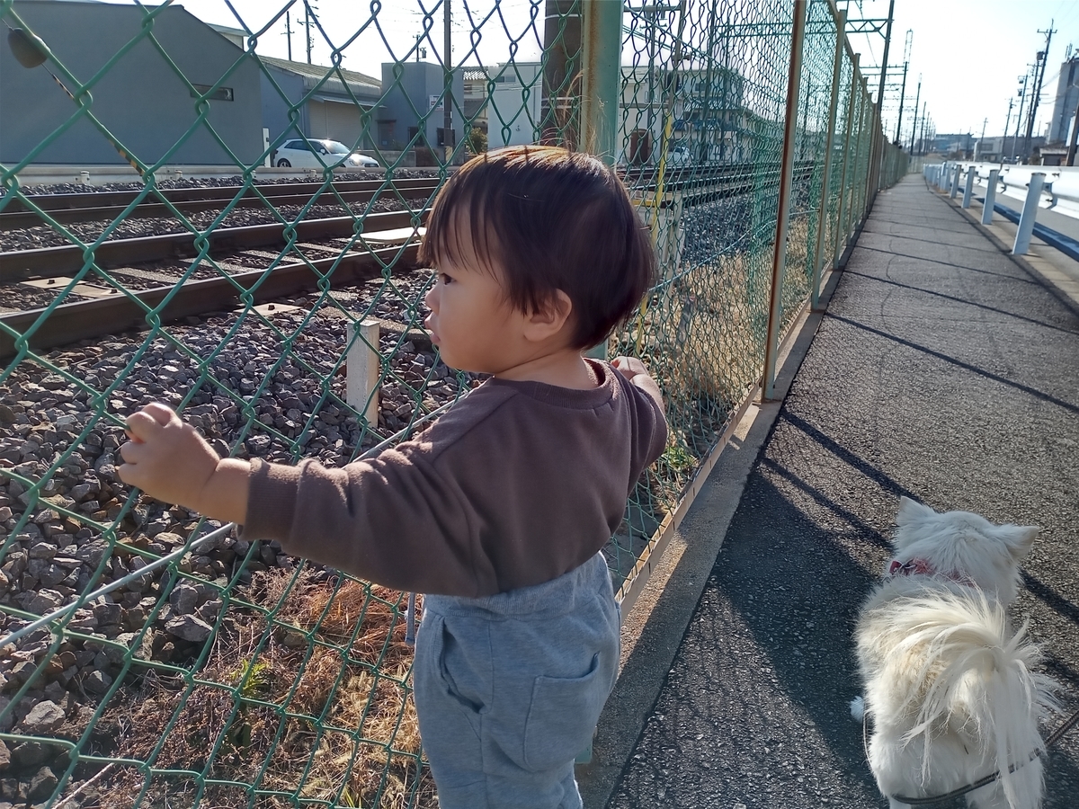 f:id:tiboko:20220110133331j:plain