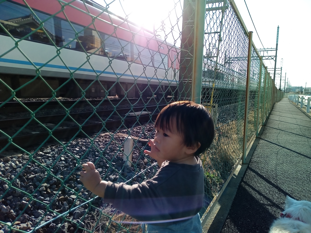 f:id:tiboko:20220110133354j:plain