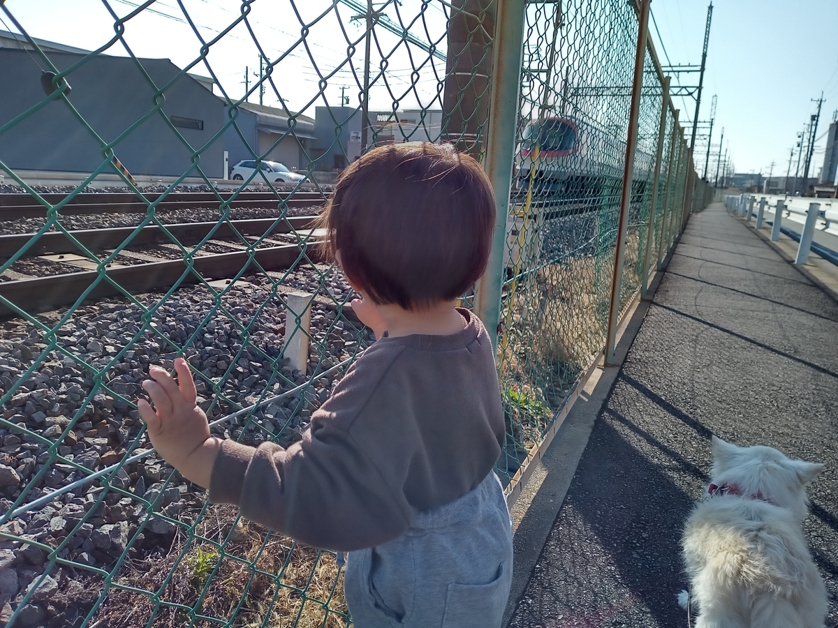 f:id:tiboko:20220110133421j:plain