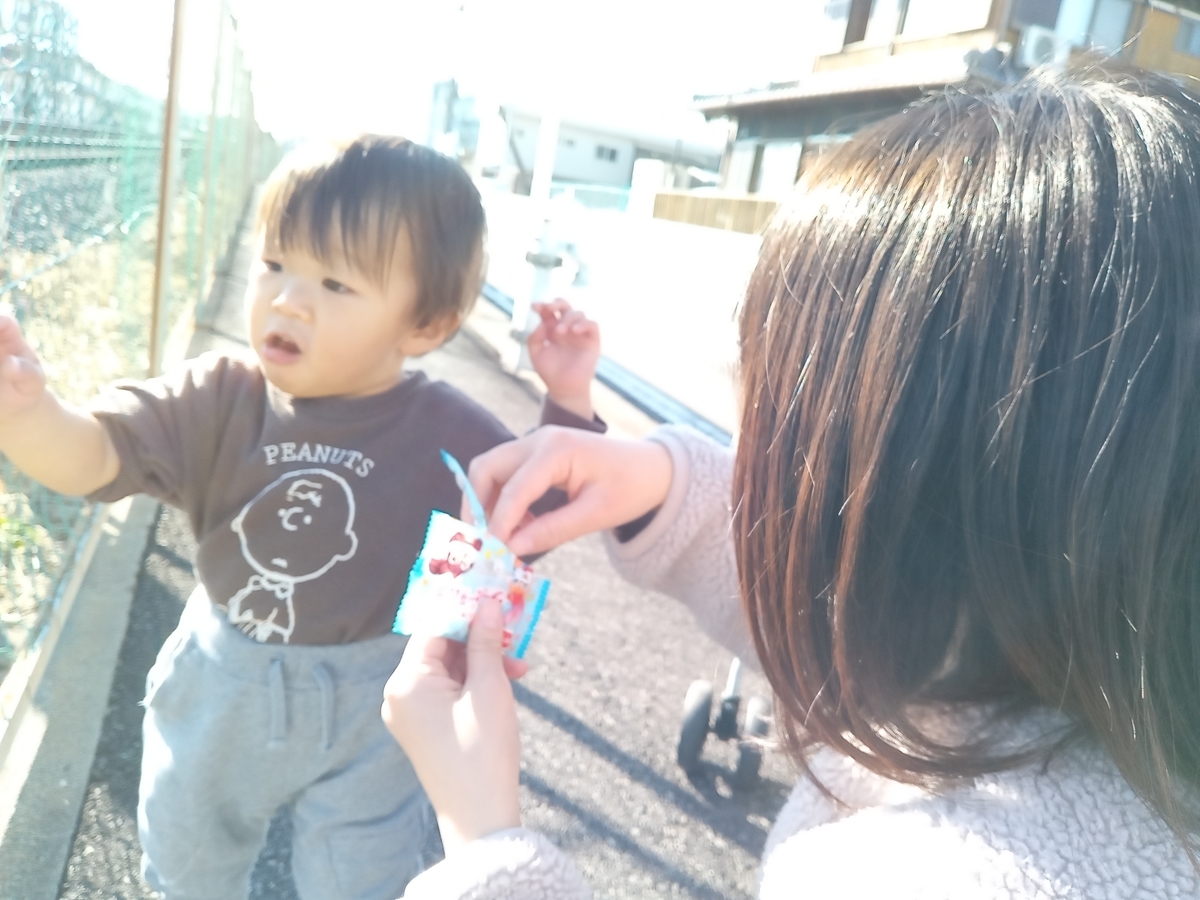 f:id:tiboko:20220110133449j:plain