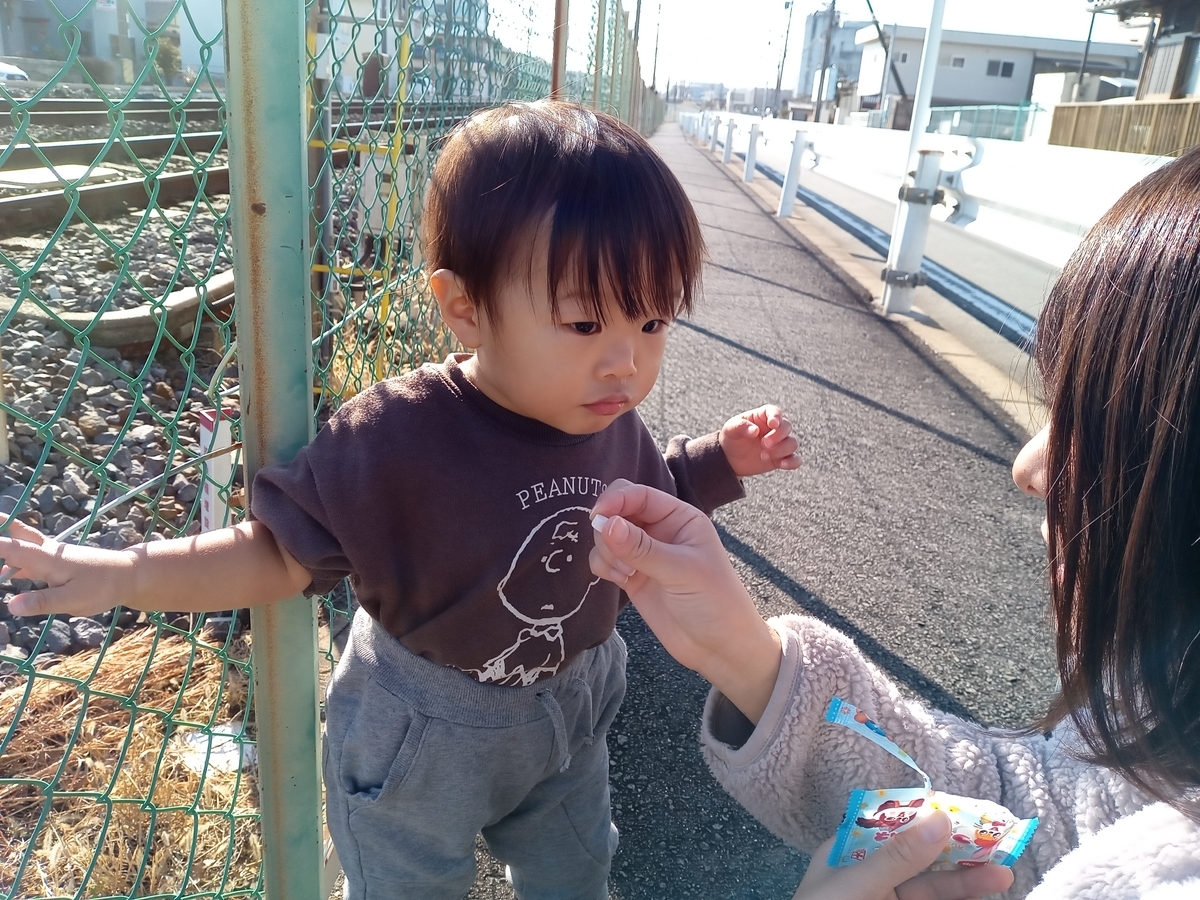 f:id:tiboko:20220110133521j:plain