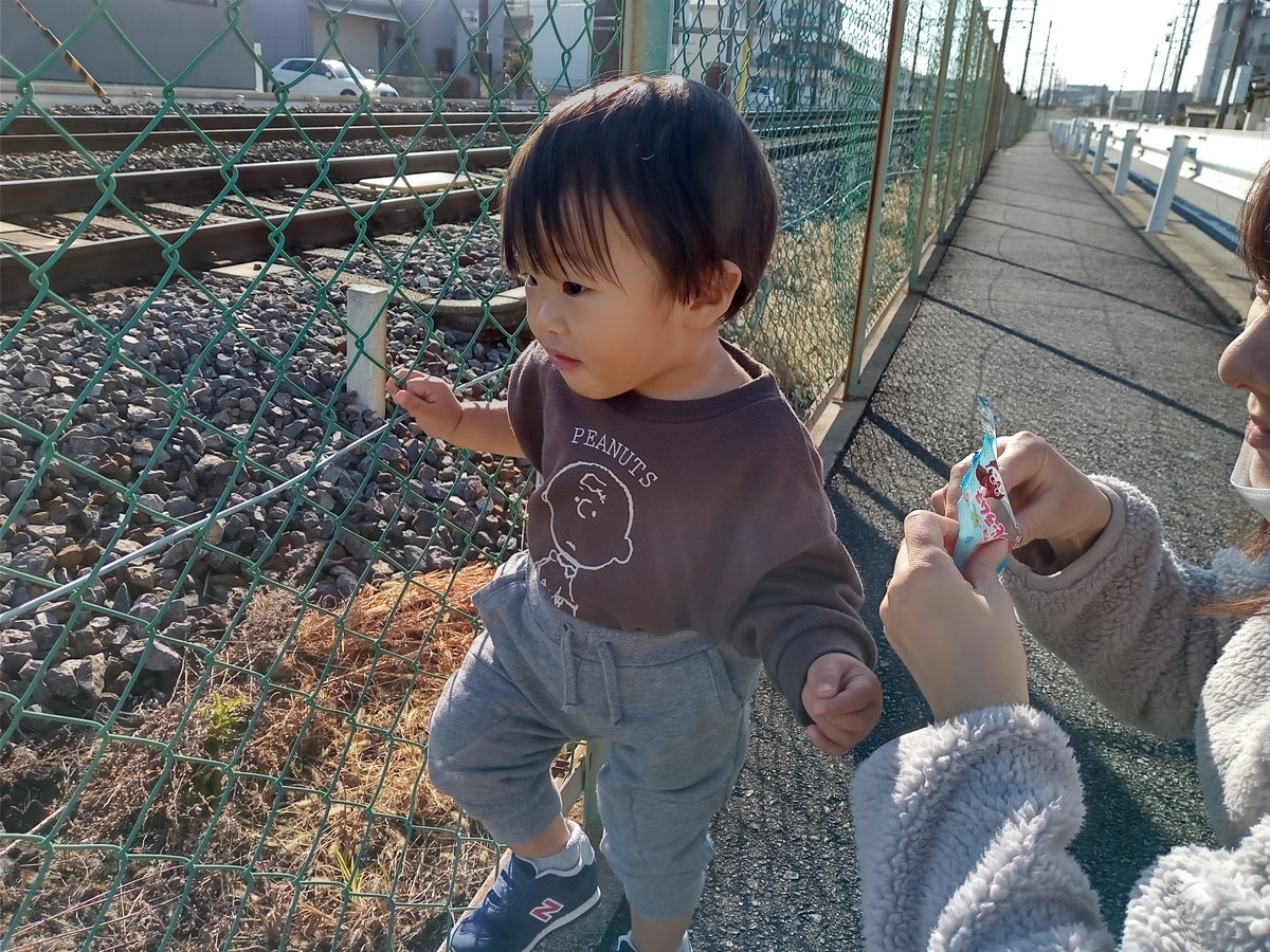 f:id:tiboko:20220110133614j:plain