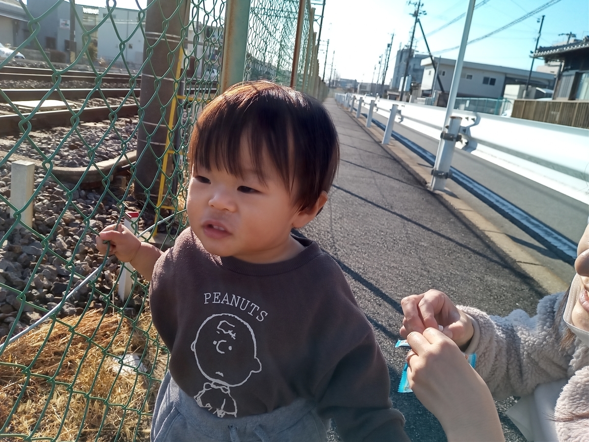 f:id:tiboko:20220110133637j:plain