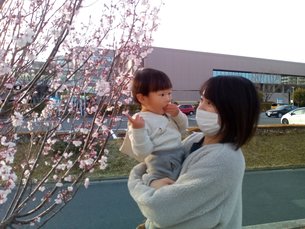 f:id:tiboko:20220322073113j:plain