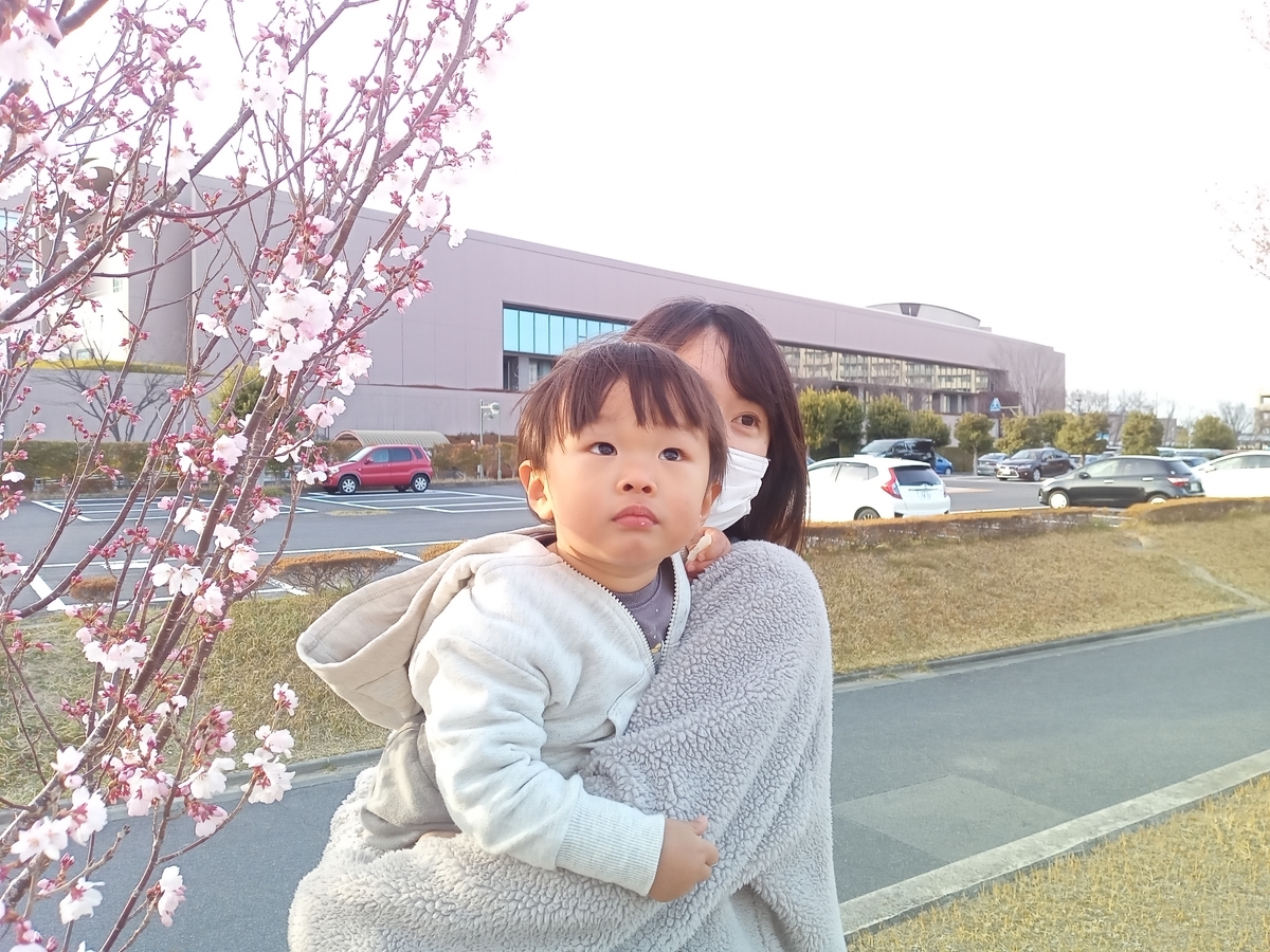 f:id:tiboko:20220322073136j:plain