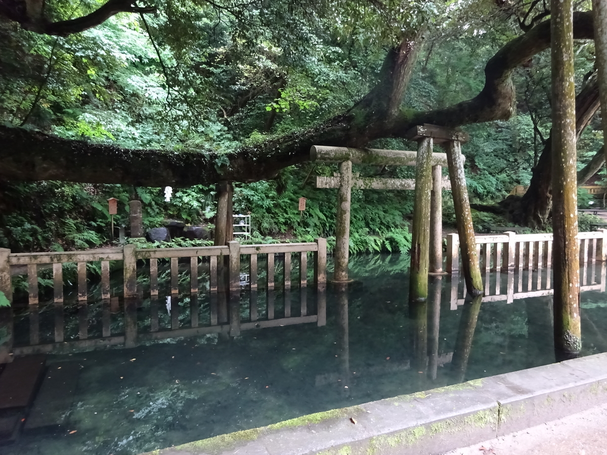 大寒に行われる神聖な神事 ティダぬファ Wataru