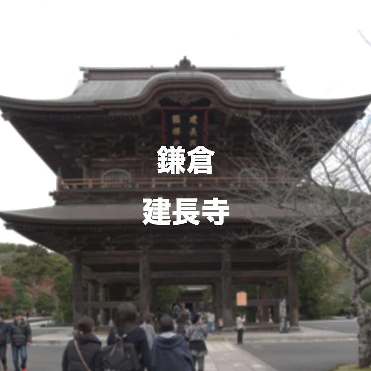 f:id:tidus_tabilog:20201018132847j:plain f:id:tidus_tabilog:20201018132847j:plain