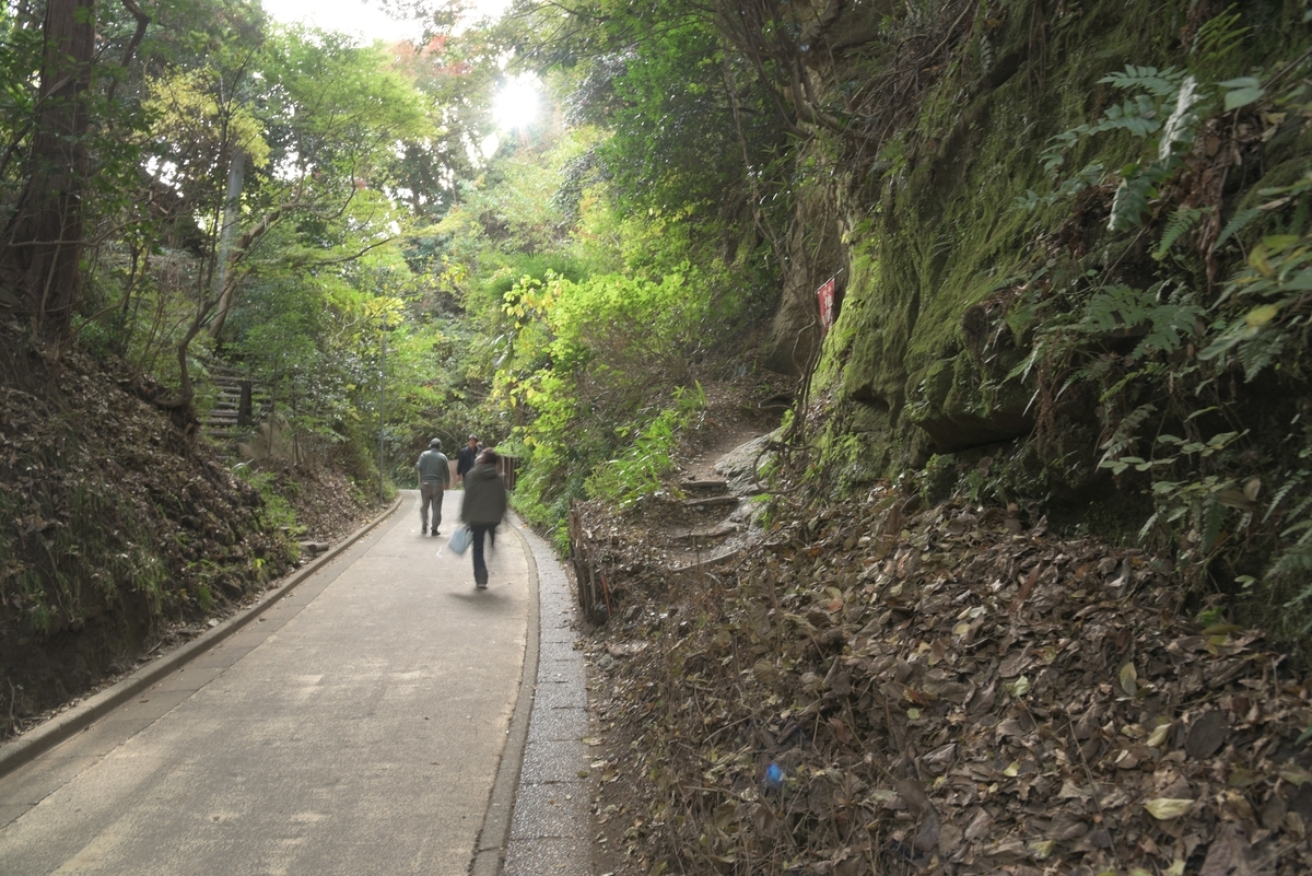 f:id:tidus_tabilog:20201018133002j:plain f:id:tidus_tabilog:20201018133002j:plain