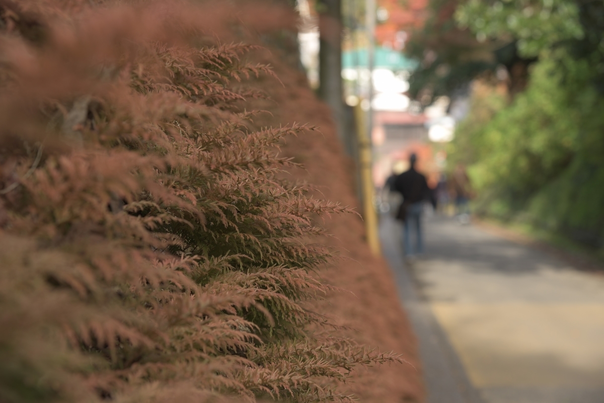 f:id:tidus_tabilog:20201018133014j:plain f:id:tidus_tabilog:20201018133014j:plain