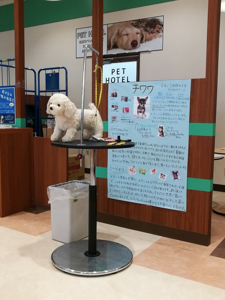 f:id:tidyup:20181008024653j:plain