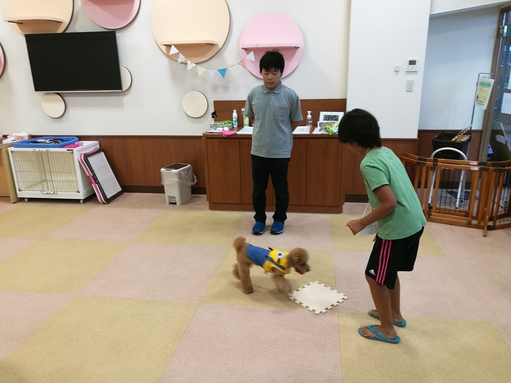 f:id:tidyup:20181008024839j:plain