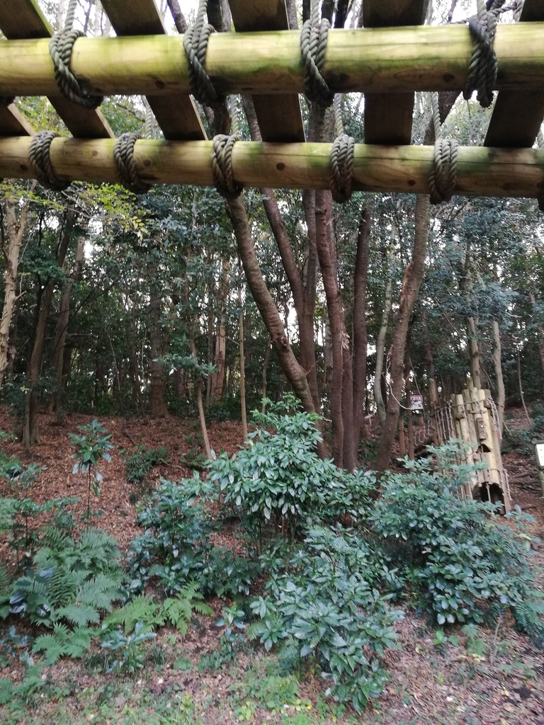 f:id:tidyup:20181128021622j:plain