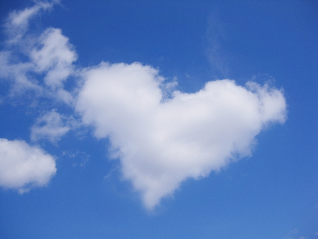 f:id:tidyup:20190214181711p:plain f:id:tidyup:20190214181711p:plain